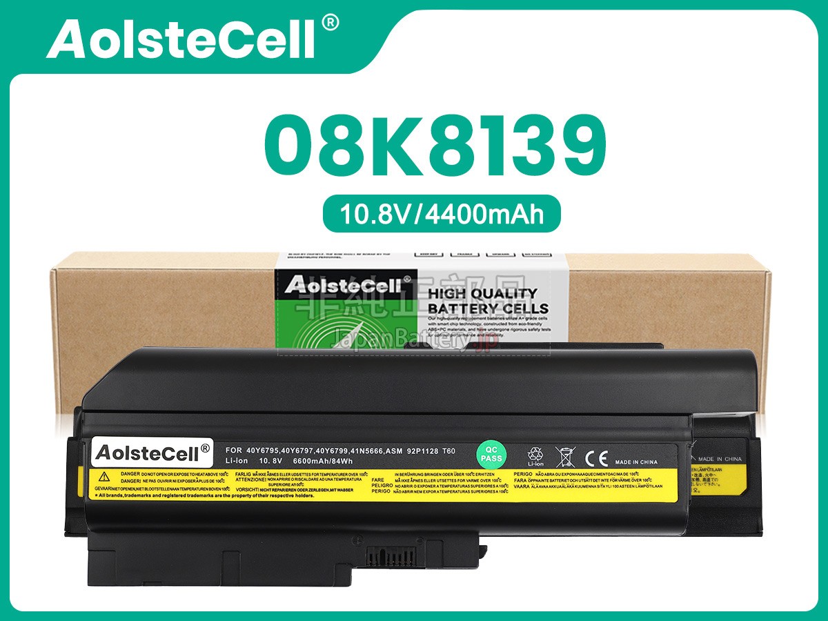 IBM 92P1013 バッテリー交換